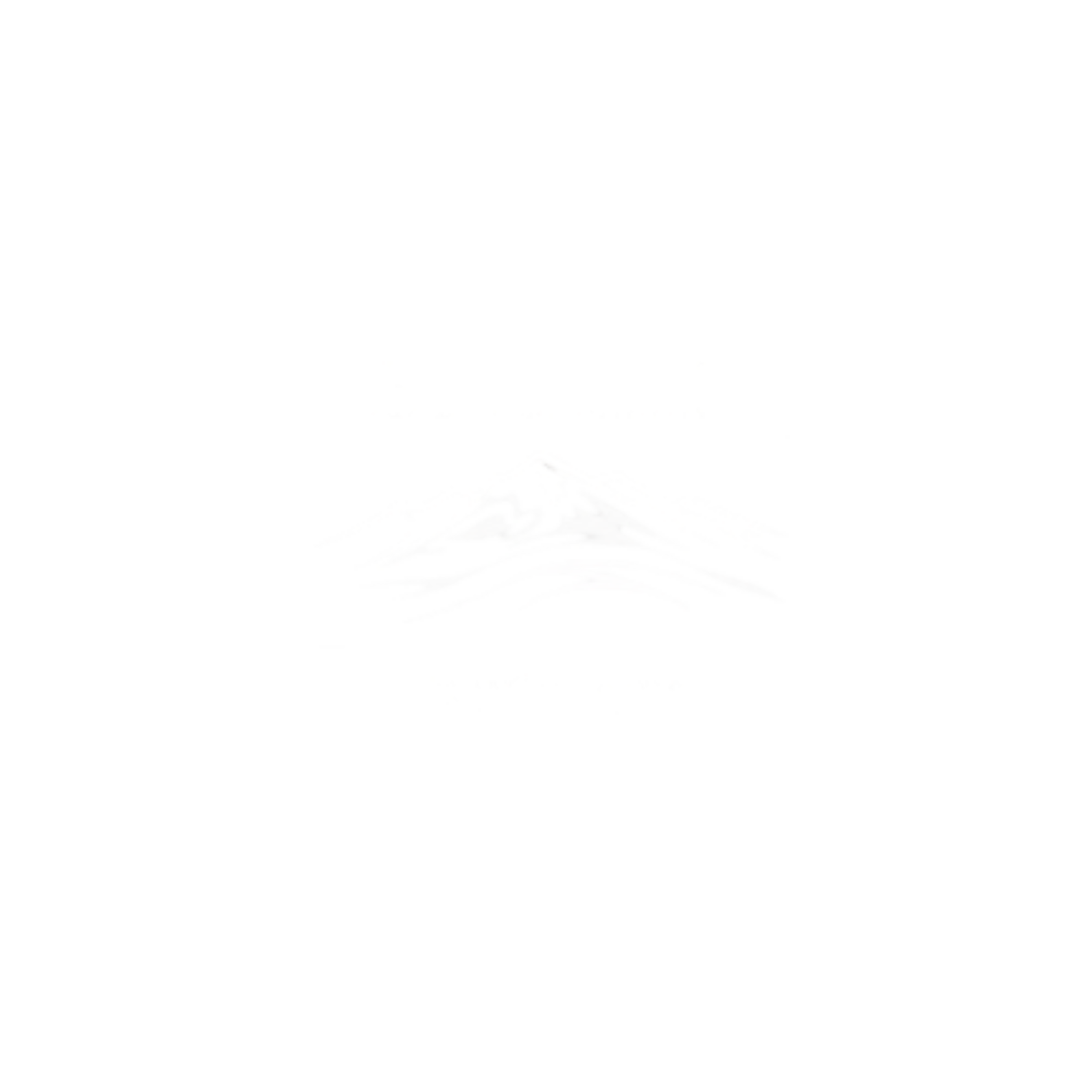 Logo 9